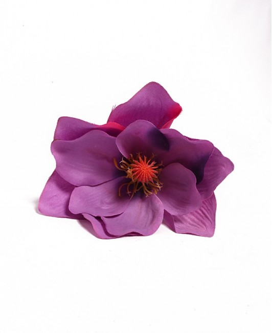 Dirbtinė Magnolija