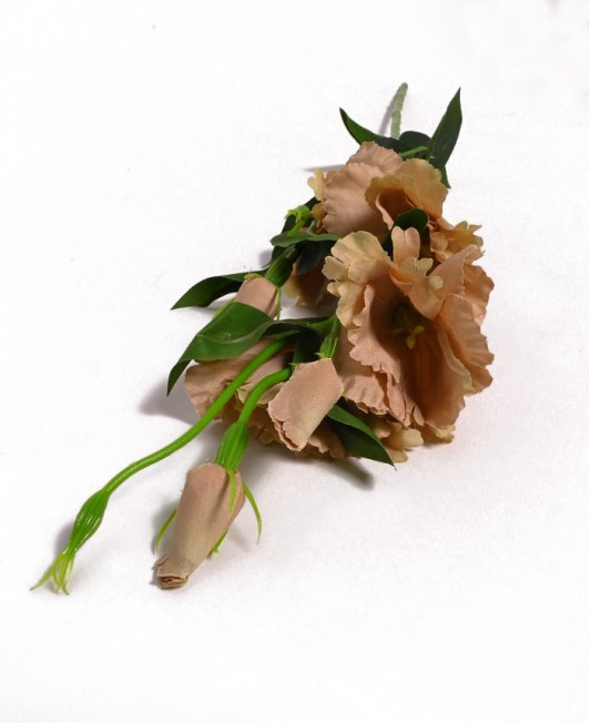 Dirbtinė Eustoma