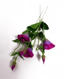 Dirbtinė Eustoma