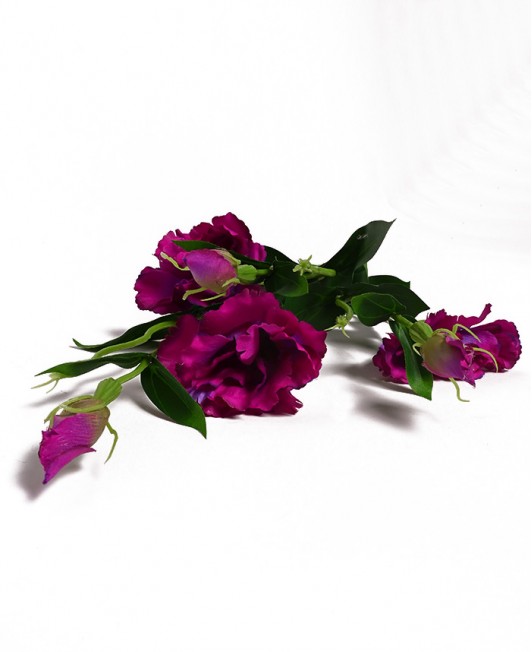 Dirbtinė Eustoma