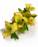 Dirbtinis Heleboras