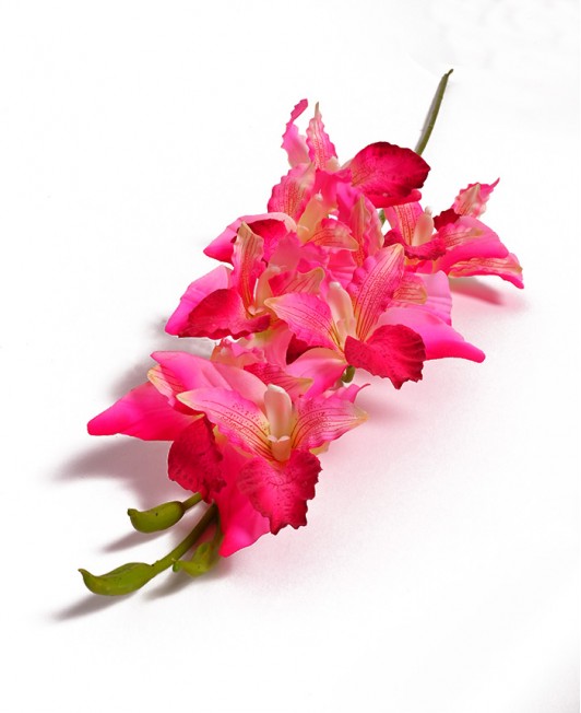 Dirbtinis Phalaenopsis