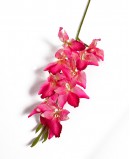 Dirbtinis Phalaenopsis