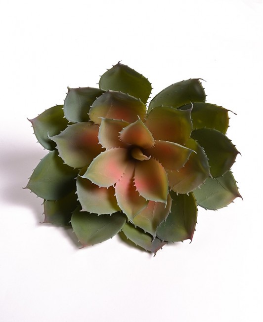 Dirbtinis Sukulentas Rozeta