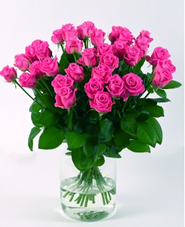 Rožinės spalvos rožės (aqua)